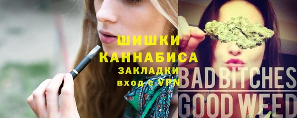 ГАЛЛЮЦИНОГЕННЫЕ ГРИБЫ Абаза