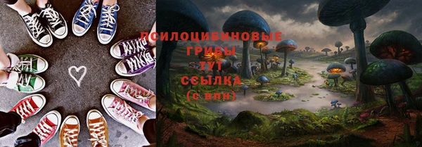 сатива Касимов