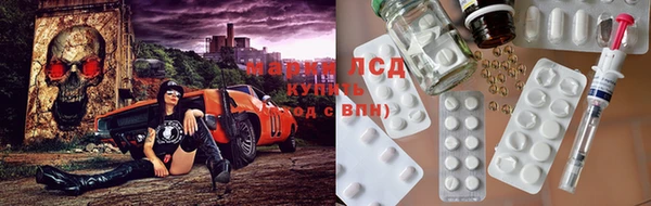 тгк Абинск