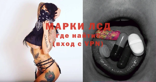 ГАЛЛЮЦИНОГЕННЫЕ ГРИБЫ Абаза